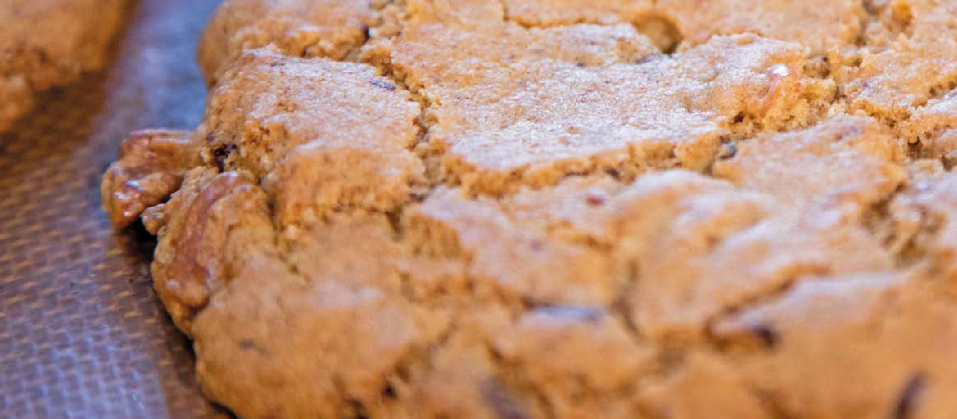 Galletitas de Chocolate y Nueces