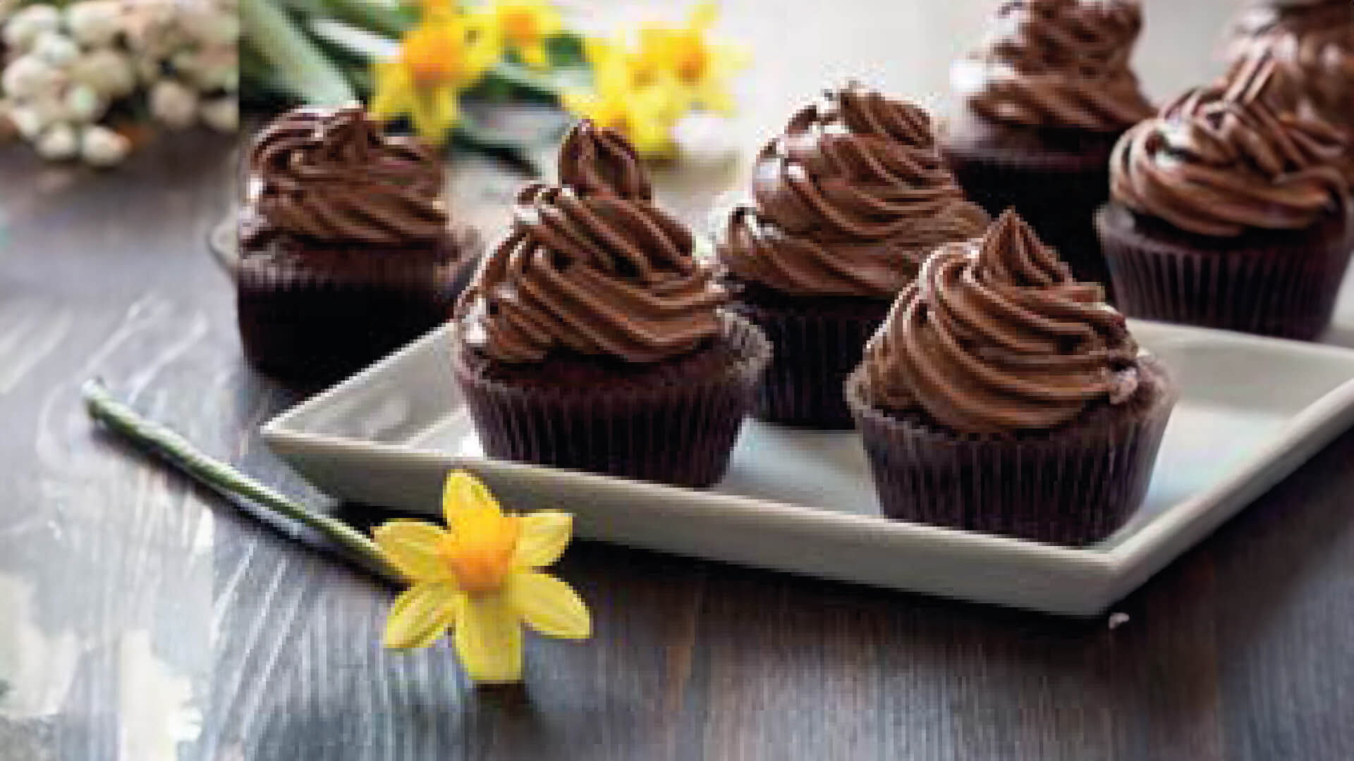 Cupcakes doble chocolate