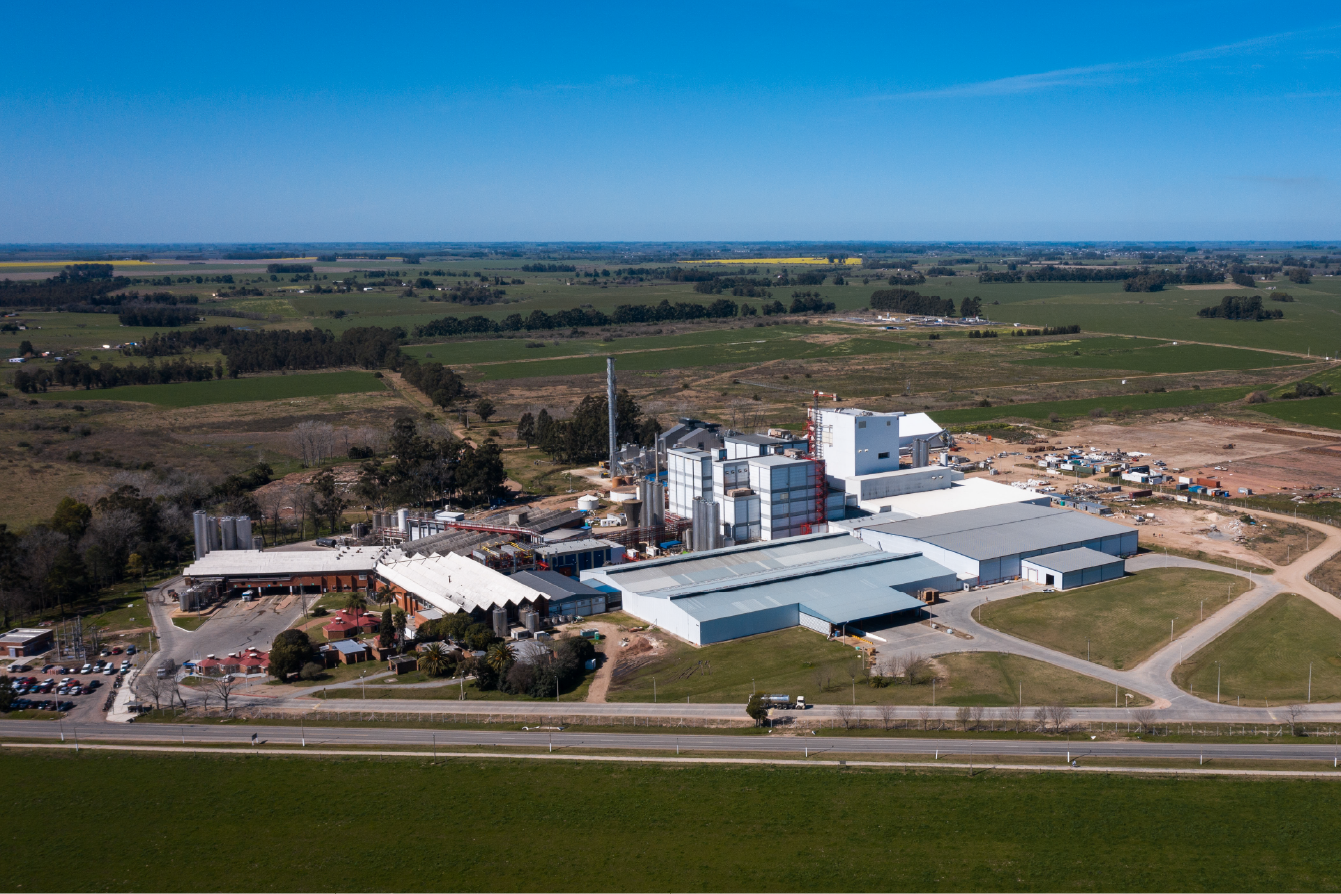 Tecnolog&iacute;a y productos