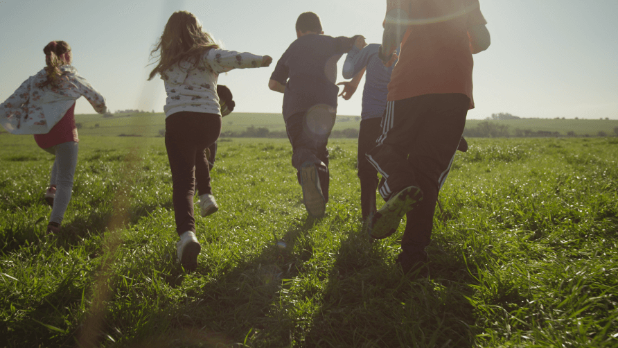 Sustentabilidad e <br/>innovaci&oacute;n