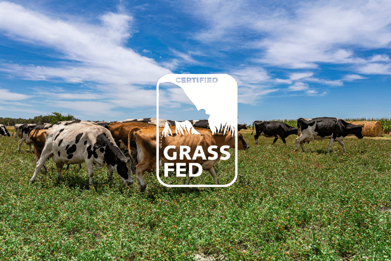 Programa de certificaci&oacute;n