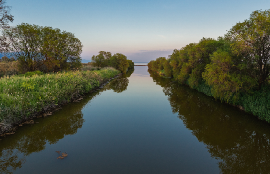 Sustentabilidad e <br/>innovaci&oacute;n