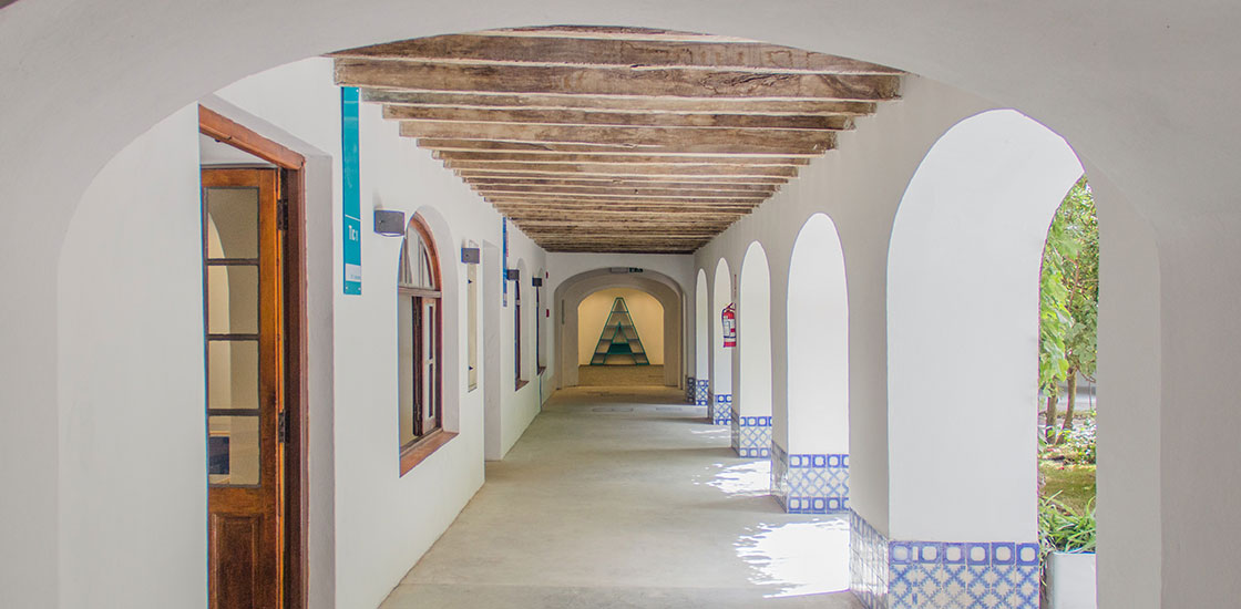 Ánima. Bachillerato tecnológico